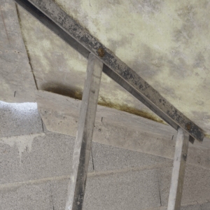 Etais 2 pieds à réglage instantané